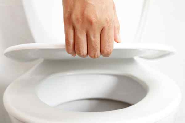 Cara mengganti kursi toilet dengan cara yang cepat dan mudah