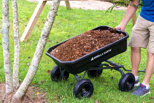 Eu montei uma pista de obstáculos para o carrinho Gorilla Carts Gor4ps Garden Dump