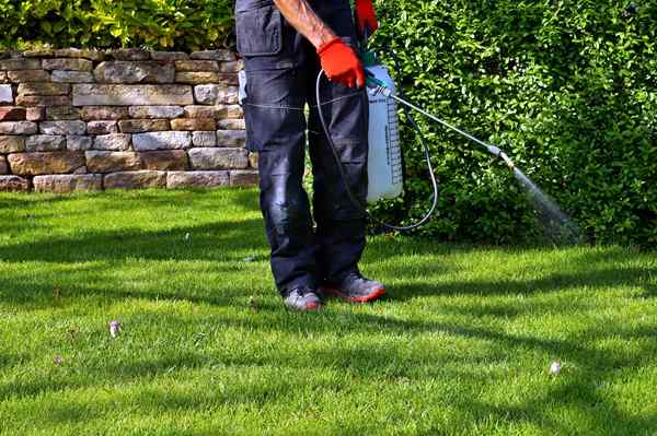 Pesticidas e linhas de propriedade como falar com os vizinhos sobre o que estão pulverizando