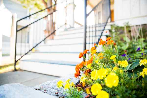 Liste de contrôle de l'entretien de la maison de printemps