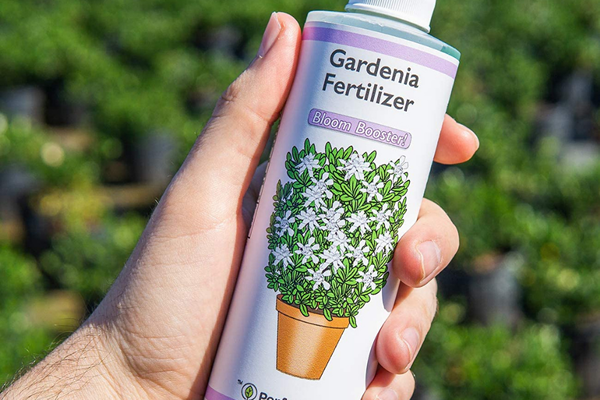 Los mejores fertilizantes para Gardenias de 2023