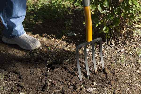 Las mejores horquillas de jardín de 2023