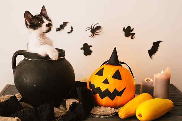 Hiasan Halloween terbaik pada tahun 2023