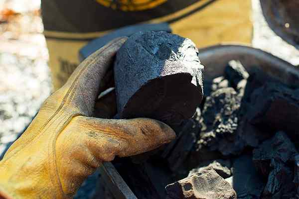 Le meilleur charbon de bois en grume de 2023