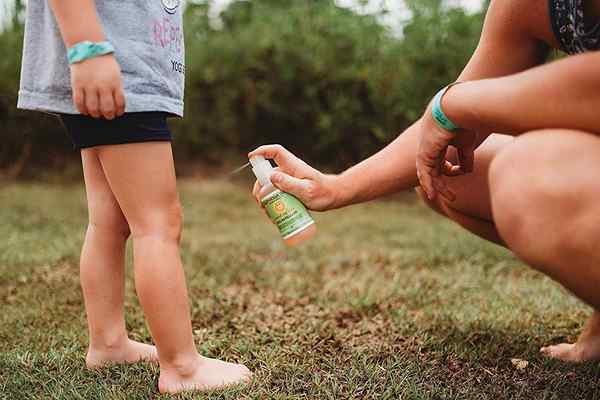 Les meilleurs répulsifs de moustiques de 2023