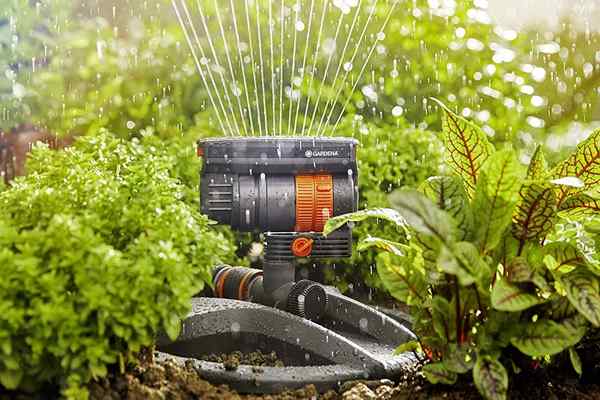 Die besten oszillierenden Sprinkler von 2023