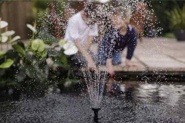 Penapis kolam terbaik untuk air bersih dan jernih