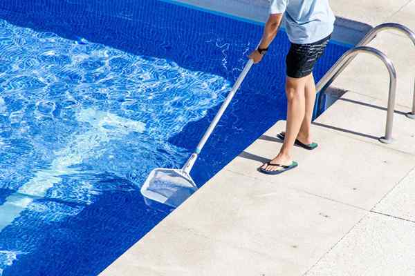 Les meilleures fournitures de piscine de 2023