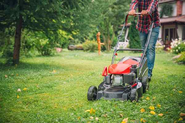 Mowers Lawn Mowers tahun 2023 terbaik