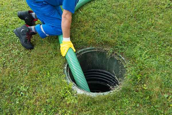 Os melhores tratamentos de fossas sépticas de 2023