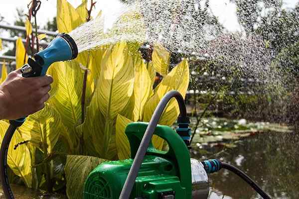 Die besten Sprinklerpumpen von 2023