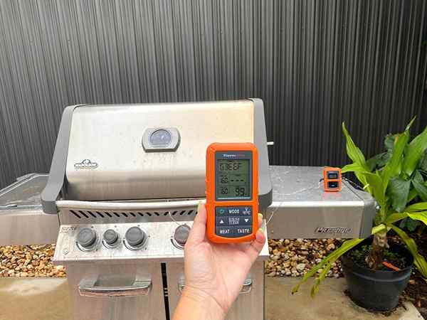 Thermopro TP20 Thermomètre à viande en vaut la peine?