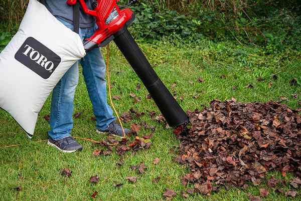 Toro Ultraplus Leaf Vacuum Ulasan Adakah Ia Berfungsi?