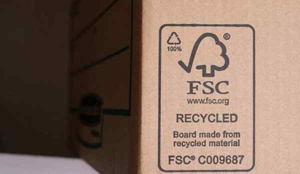 ¿Qué es la madera certificada por FSC, y debería comprarla??