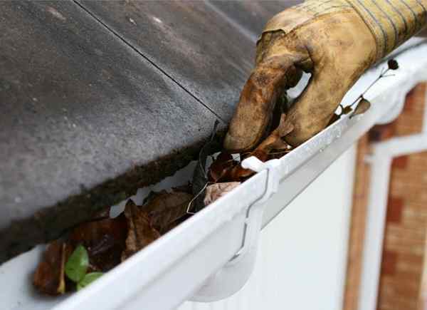 Qué no hacer al limpiar las canaletas de lluvia de su hogar