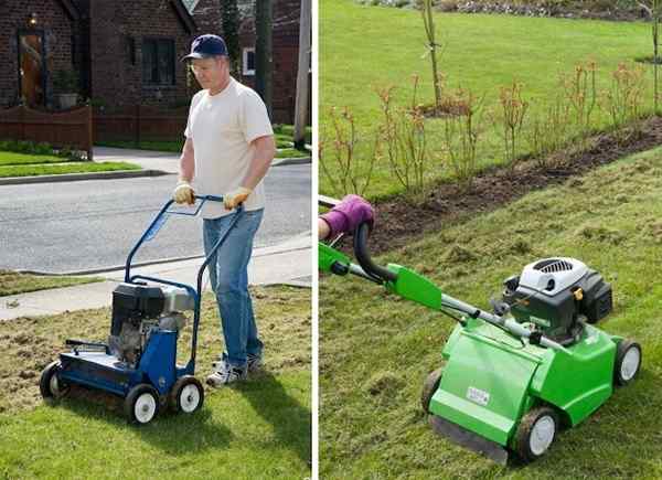 Co za różnica? Power Rake vs. Detchatcher