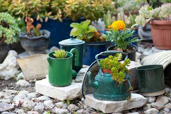 10 tendances du jardinage durable à essayer en 2022