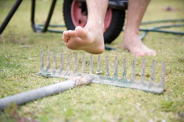 10 façons dont le jardinage peut vous rendre malade et comment vous protéger