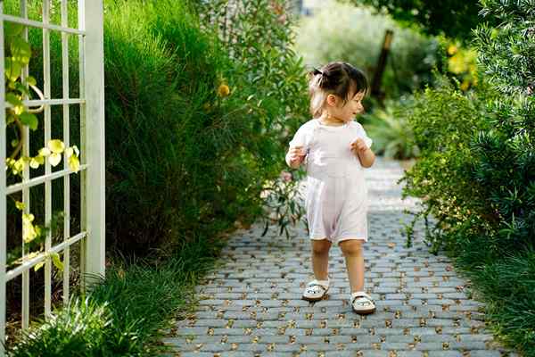 13 façons d'étancher l'enfant de votre cour et de votre jardin