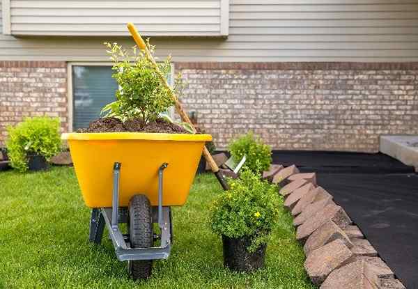 15 Dinge zu wissen, bevor Sie Landschaftsstoff in Ihren Garten legen