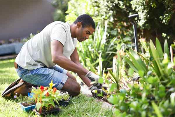 28 Blumenbett -Ideen perfekt für große oder kleine Yards