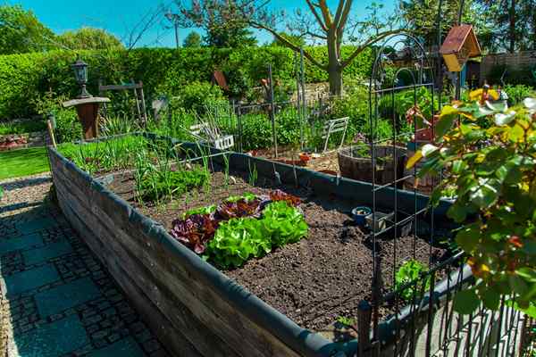 9 productos para ayudarlo a acorralar sus verduras de jardín