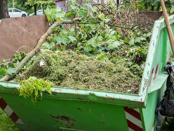 Tout à savoir avant d'embaucher pour l'élimination des déchets de jardin