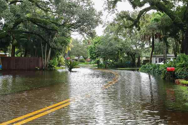 Las características del hogar que protegen contra el cambio climático son puntos de venta clave para los compradores de hoy, según Zillow