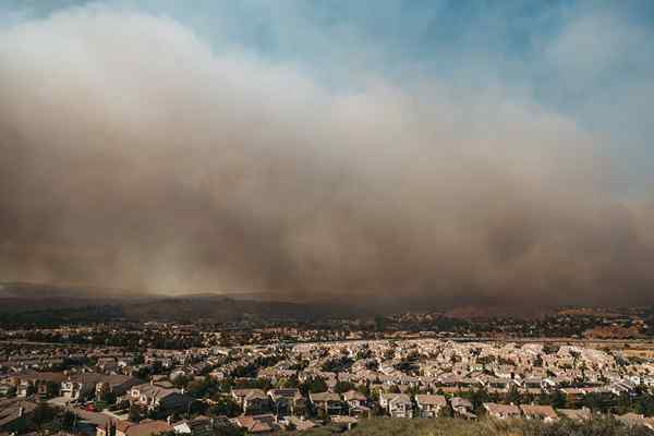 Como manter a fumaça de incêndio fora de sua casa 9 soluções eficazes