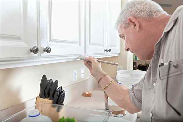 Cómo reiniciar los gabinetes y darle a su cocina un nuevo look