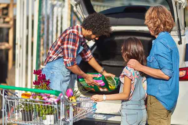 Resolvido! Fertilizante vai mal?