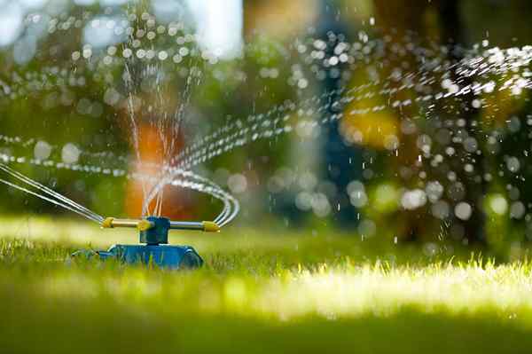 Résolu! C'est le meilleur moment pour arroser l'herbe