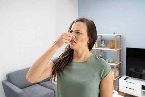 Résolu! Qu'est-ce qui cause l'odeur de poisson dans ma maison?