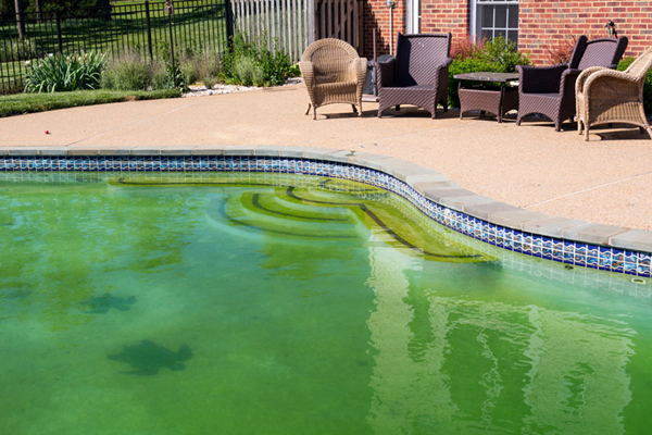 Resuelto! ¿Por qué mi piscina es verde??