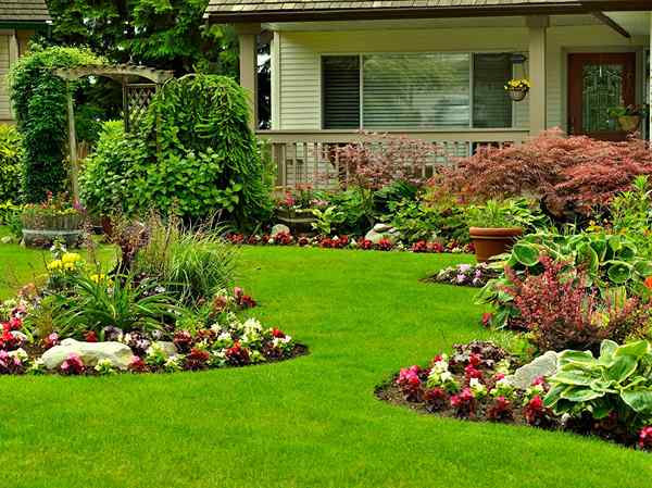 Los 12 mejores lugares para comprar plantas al aire libre en línea