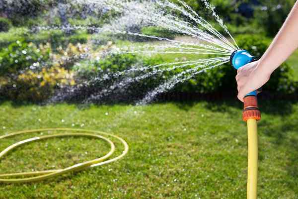 Les meilleurs systèmes d'irrigation goutte à goutte de 2023