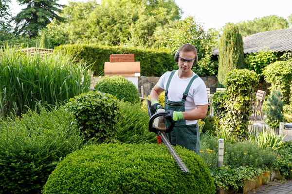 Os melhores serviços de jardinagem de 2023