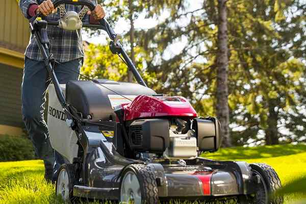 Honda Lawn Mowers terbaik tahun 2023