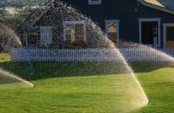 Os melhores serviços de irrigação de 2023