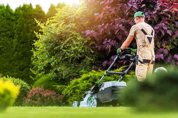 Le meilleur service de tonte de pelouse près de moi comment embaucher le meilleur service de tonte de pelouse en fonction du coût, de l'émission et d'autres considérations