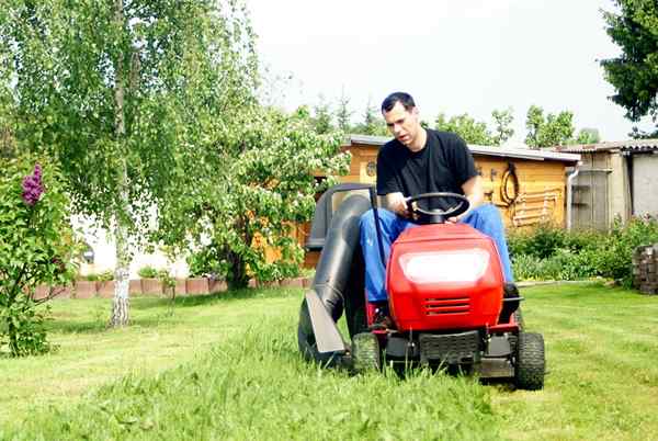 Mowers Lawn Riding Best untuk 1 hektar 2023