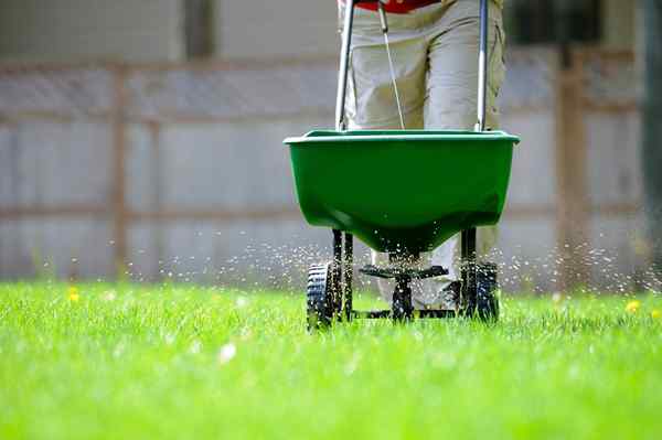 La meilleure mauvaise herbe et les aliments de 2023