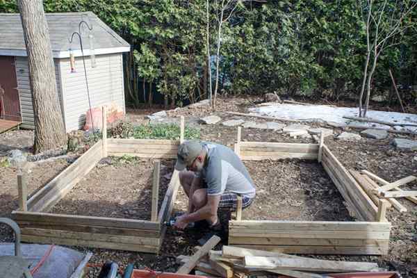 La mejor madera para camas de jardín elevadas