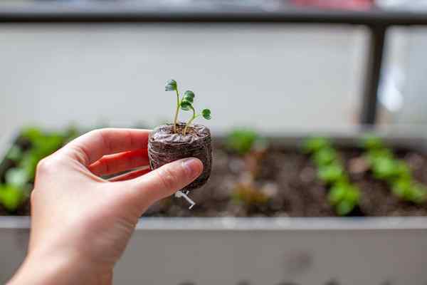 Este suprimento de jardinagem orgânico está provocando controvérsia-você para que você pare de usá-lo?