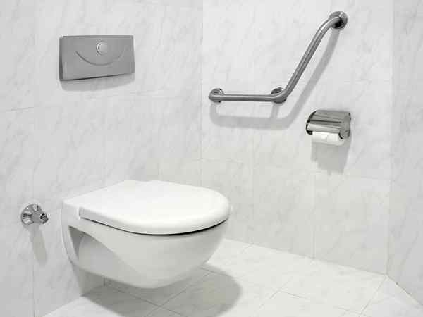 Instalasi toilet DIY atau sewa seorang profesional?