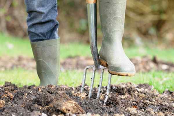 Quer um abundante jardim de verão? Faça essas três coisas rápidas no seu solo neste fim de semana