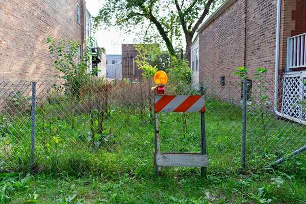 ¿Qué es la jardinería de la guerrilla y es legal??