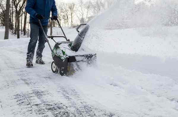 Quelle est la différence? Snow Blower vs. Lanceur de neige