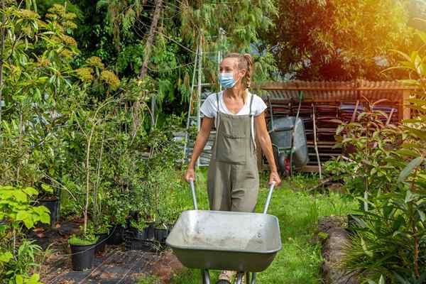 Por que plantar um jardim de vitória este ano é mais importante do que nunca