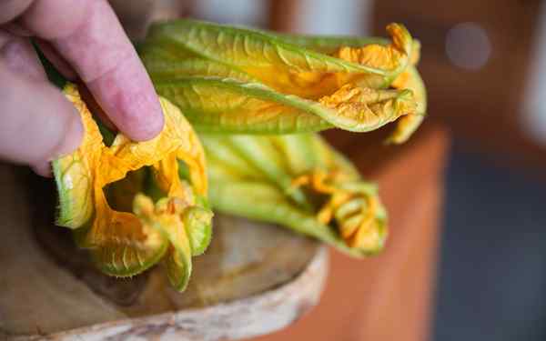 Por qué deberías polinizar a mano algunas de tus verduras este año y cómo hacerlo